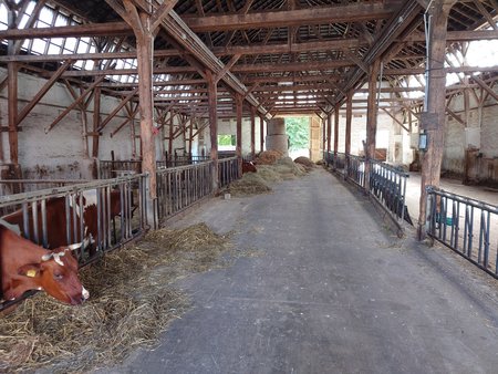 20220716_100257.JPG