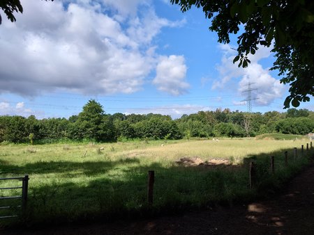 20220716_101339.JPG