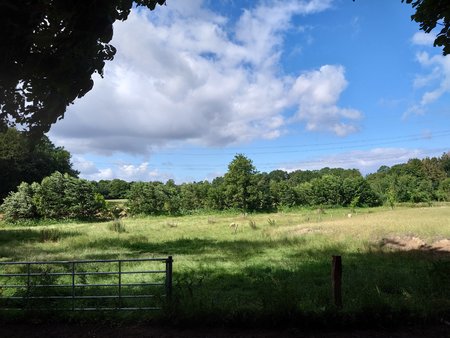 20220716_101429.JPG