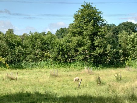 20220716_101435.JPG