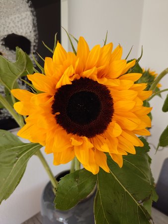 20220716_110931.JPG