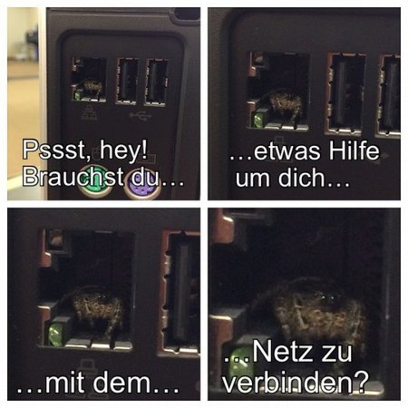 thumbs_picdump786_86.jpg