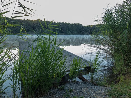 20220716_062437.jpg