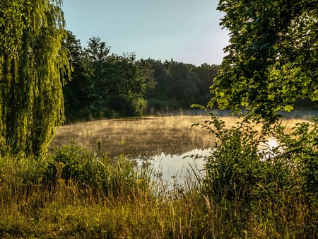 20220716_063453.jpg