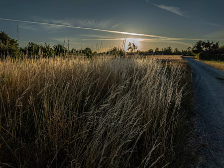 20220717_061303.jpg