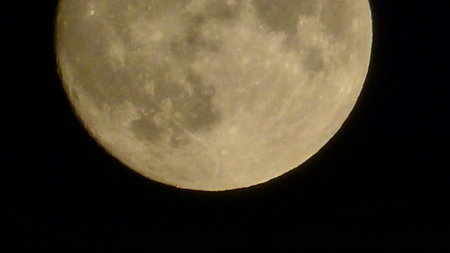 P1250043.JPG