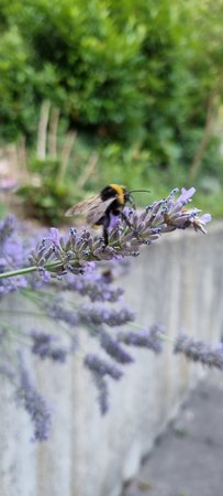 20220719_202947.jpg