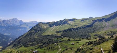IMG_20220722_142059.jpg