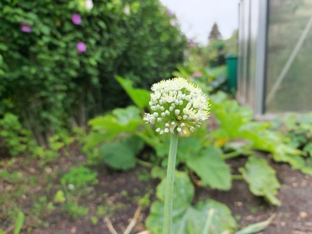 20220722_151842.jpg