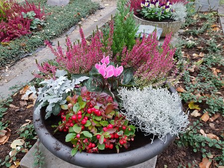 20181029_153013.jpg