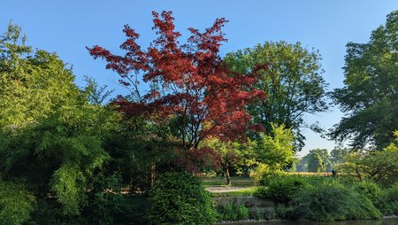 PXL_20220722_054128574.jpg