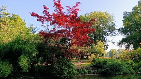 IMG_20220722_074145.jpg