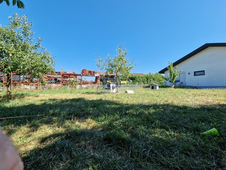 20220719_163713.jpg