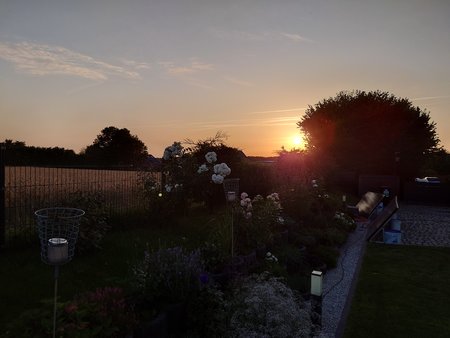 20220724_205523.JPG