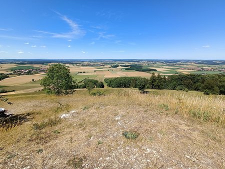 IMG20220703150628.jpg