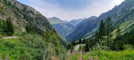 20220723_105021.jpg