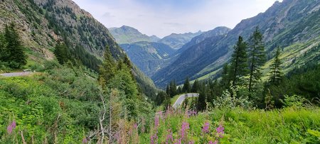 20220723_105023.jpg