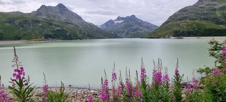 20220723_110809.jpg