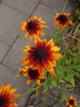 20220728_090700.JPG