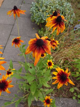 20220728_090654.JPG