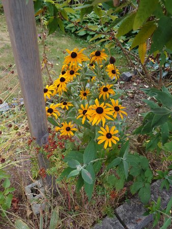 20220728_090714.JPG