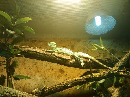 2010-07-11 12.03.50.jpg