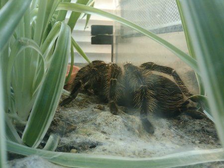 2010-07-11 12.04.34.jpg