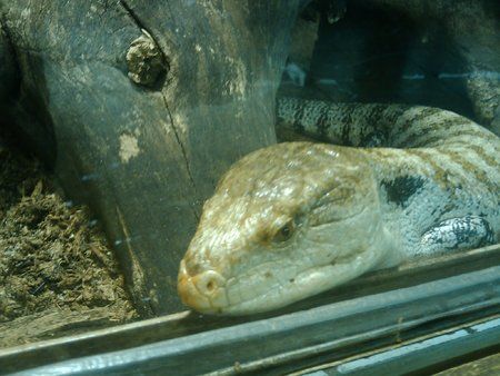 2010-07-11 12.08.58.jpg