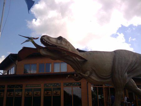 2010-07-25 11.19.43.jpg