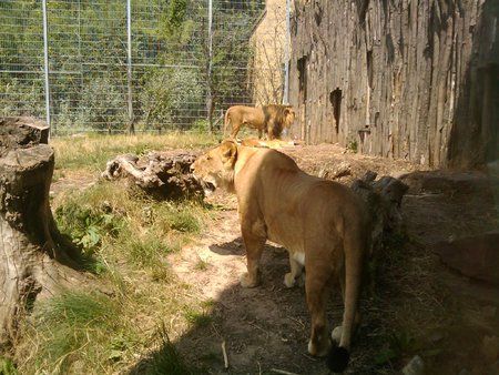 2010-07-11 14.19.34.jpg