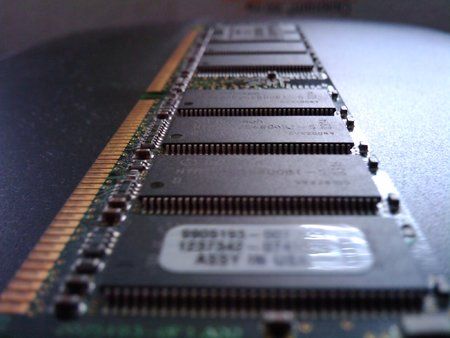 2009-08-08 15.51.30.jpg