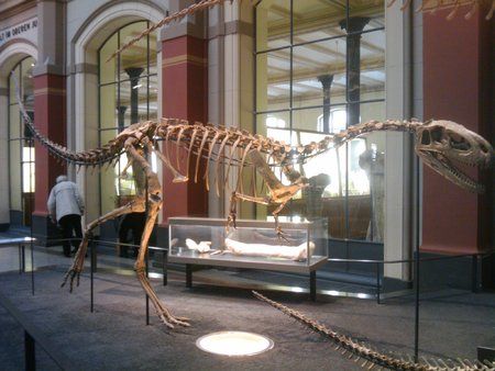 2010-03-05 10.10.38.jpg