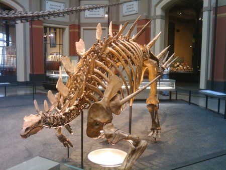 2010-03-05 10.09.39.jpg