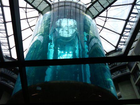 2010-06-21 13.18.11.jpg