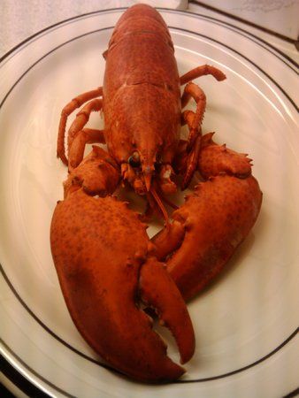 2009-12-24 17.40.13.jpg