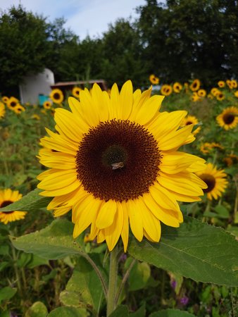 20220729_105413.JPG