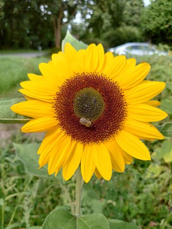 20220729_105452.JPG