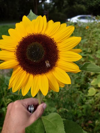 20220729_105534.JPG