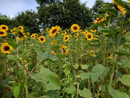 20220729_105645.JPG