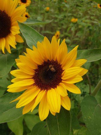 20220730_135644.JPG
