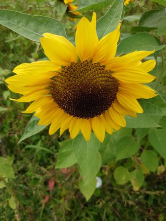 20220730_135713.JPG