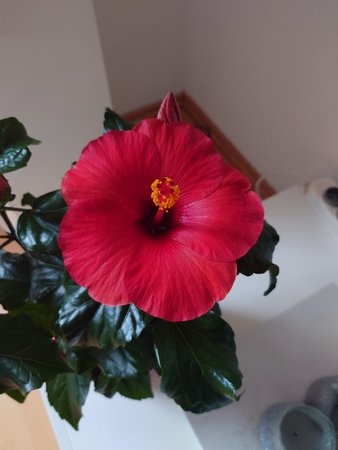 20220730_082539.JPG
