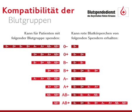 Blutgruppenkompatibilität.png
