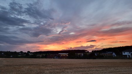 20220801_211108.jpg