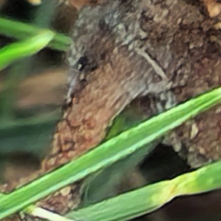 20220804_124403_800x800.jpg