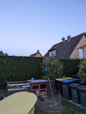 PXL_20220806_212313813.jpg