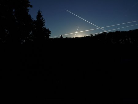20220807_070308.jpg