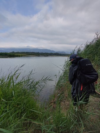 IMG_20220806_180750.jpg