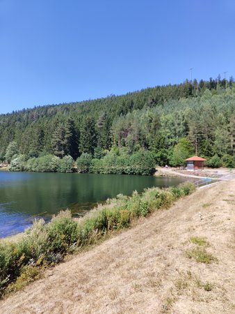 IMG_20220807_142808018.jpg