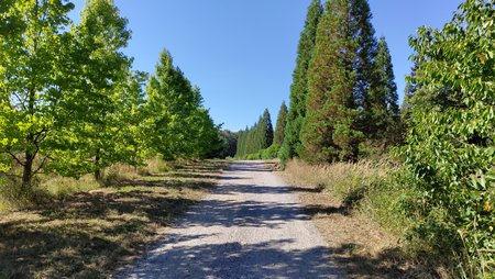 IMG_20220807_164526864.jpg